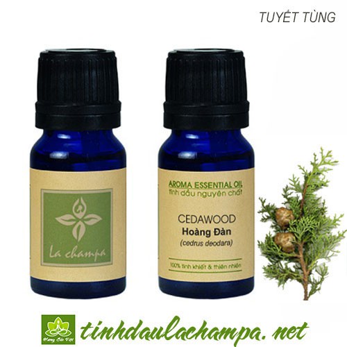 Tinh dầu gỗ hoàng đàn (Tuyết tùng) nguyên chất - Cedarwood essential oil