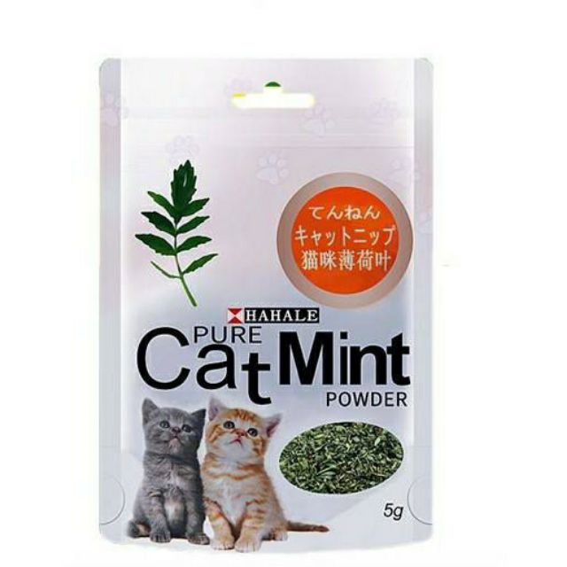 CATNIP - Cỏ Bạc Hà Giúp Mèo Giảm Stress - Gói 5gr