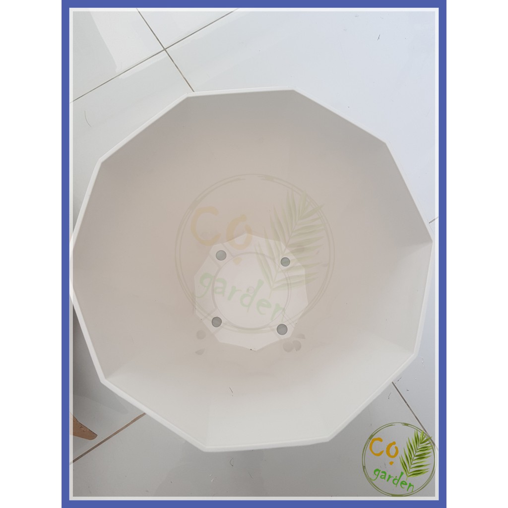 Chậu Nhựa Kim Cương Trắng 10 cạnh size Đại 44x35 - Cọ garden