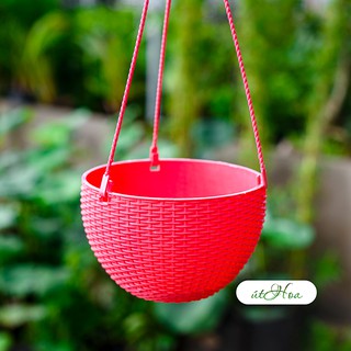 Chậu treo mây Lớn (19x13 cm) trồng hoa treo mẫu mã đẹp, màu sắc tươi sáng