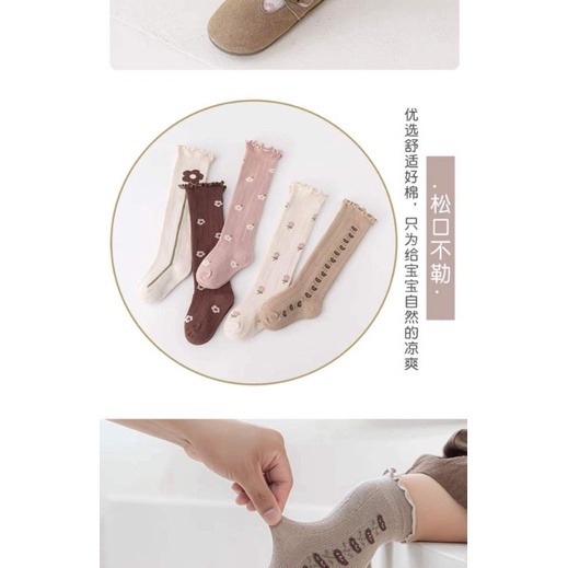 Tất cổ cao/vớ đùi  cổ bèo hoa nhí Hàn Quốc cho bé 0-3 tuổi.Chíp Chíp Shop