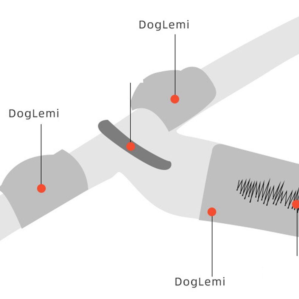 JARRED Dây Dắt Thú Cưng Đi Dạo Có Thể Điều Chỉnh Kích Thước Tiện Dụng