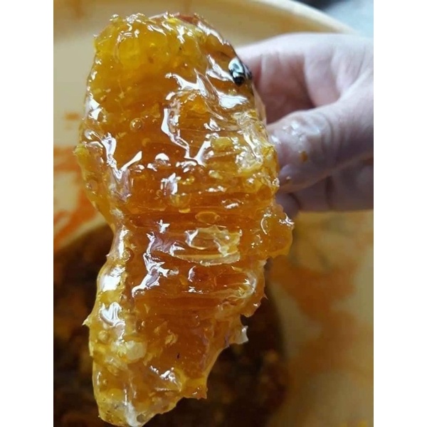 Mật Ong nguyên sáp (mật Ong bánh Tổ) hủ 1kg