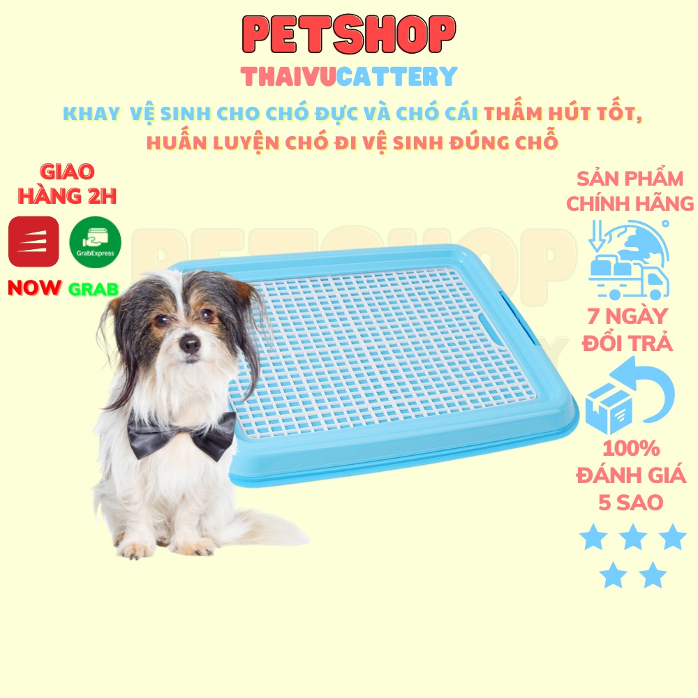 Khay vệ sinh cho chó đực và cái - Huấn Luyện Chó đi vệ sinh đúng chỗ