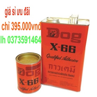 Keo con chó x66 loại 3kg