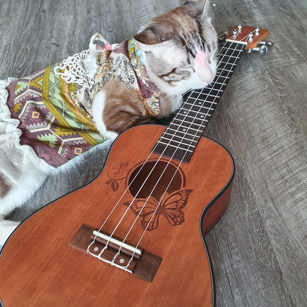 Đàn ukulele size concert - Mẫu hình bướm - Tặng kèm phụ kiện và sticker trang trí đàn - Bảo hành 1 năm