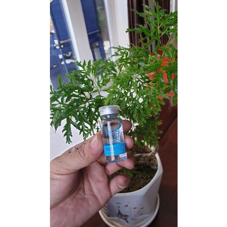 KHÓA MÀU TÓC BÓNG MƯỢT MUSK Chai 10ml