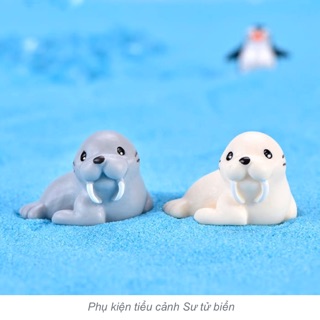 Phụ kiện tiểu cảnh: sư tử biển