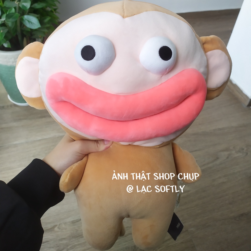 Order | Khỉ bông môi trề mắt trố độc đáo lạ mắt