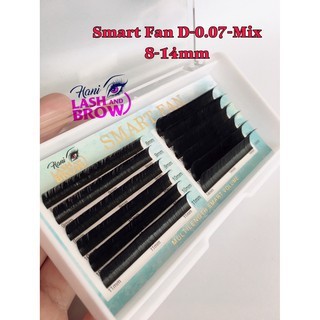 Lông Mi Smart Fan Cao Cấp - Mi Khay Hỗ Trợ Thợ Không Biết Tạo Fan