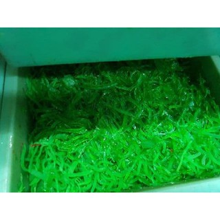 Mứt đu đủ xanh siêu ngon