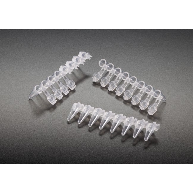 Ống PCR 0.2ml, 8 strip