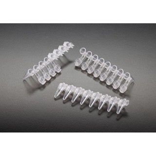 Ống PCR 0.2ml, 8 strip