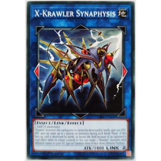 X-Krawler Synaphysis |EN| Common