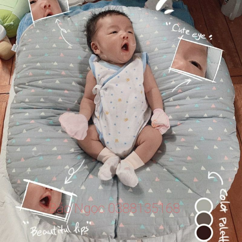 Gối chống trào ngược cotton Hàn trần vỏ cao cấp bảo ngọc  🌺