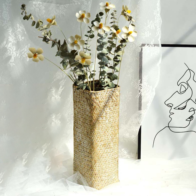 Chậu Hoa Đan Từ Tảo Biển Sáng Tạo Trang Trí Nhà Cửa