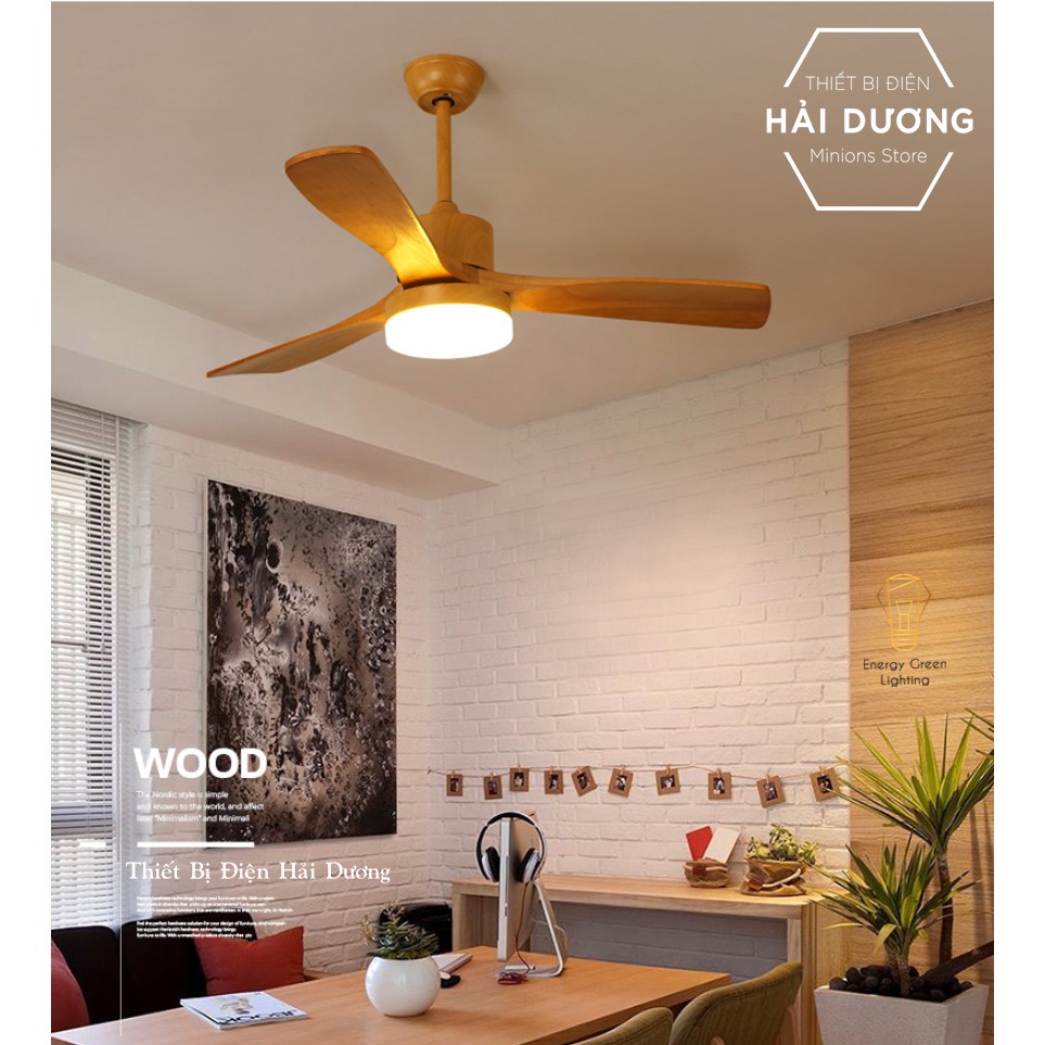 Quạt Trần Gỗ 3 Cánh QT-11055 Phong Cách Bắc Âu Tích Hợp Đèn Chiếu Sáng - 3 Chế Độ Ánh Sáng - Điều Khiển Từ Xa - Có video