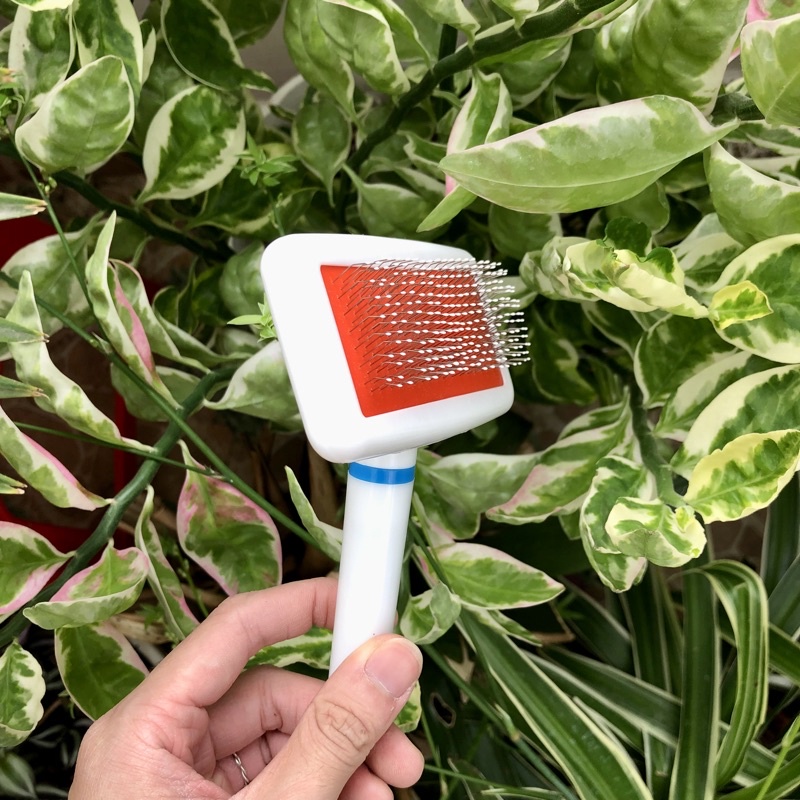 Lược Chải Lông Răng Lược Dành Cho Chó Mèo Siêu Êm