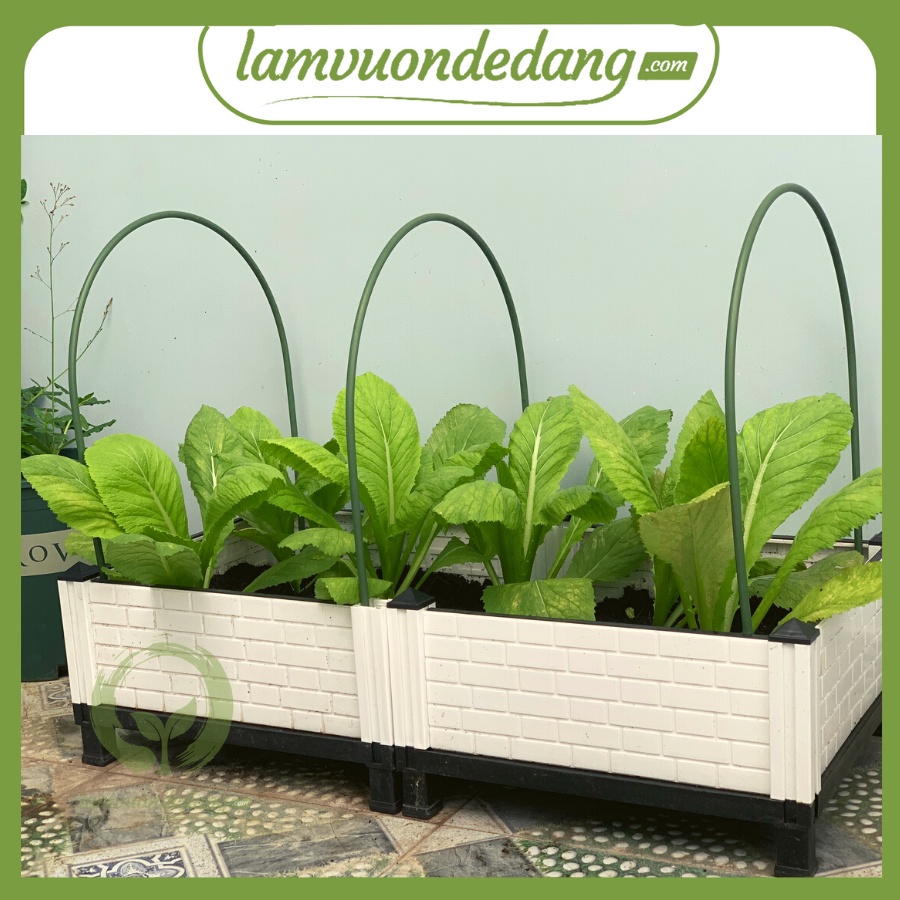 THANH TRE VÒM TẠO LUỐNG CHO CÂY