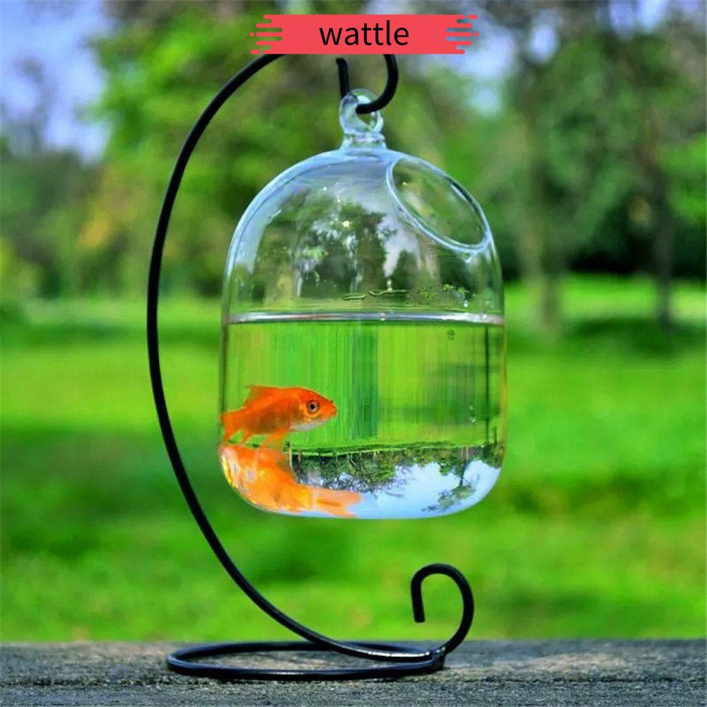 Bể cá mini bằng thủy tinh trong suốt có giá đỡ treo trang trí nhà cửa tiện dụng