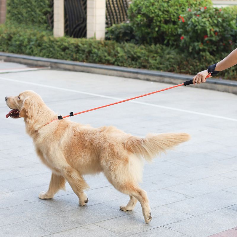 Dây Dắt Thú Cưng Đi Dạo Bằng Nylon Phản Quang Với Tay Cầm Mềm Mại Kèm Khóa Giới Hạn Tiện Dụng