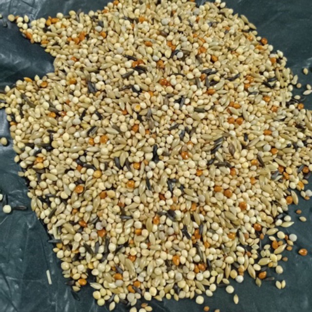 Hạt trộn 7 màu , finch, thạch yến 1kg.