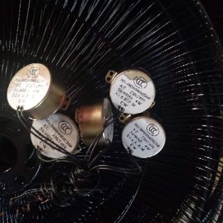 Motor hào quang gai ngoài