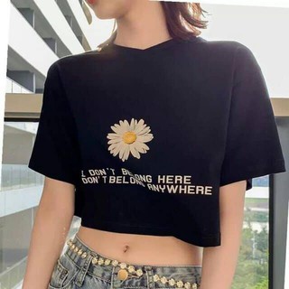 𝔸́𝕆 ℂℝ𝕆ℙ𝕋𝕆ℙ 𝕋ℍ𝔼̂𝕌 ℍ𝕆𝔸 ℂ𝕌́ℂ 𝕊𝕀𝔼̂𝕌 𝕏𝕀ℕℍ ( 2 MÀU )