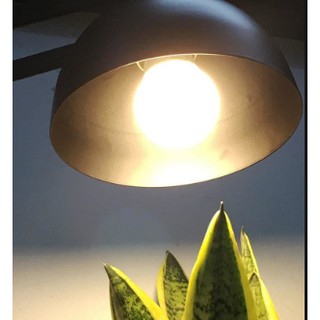 Bóng đèn LED 3w tiết kiệm điện [rẻ vô địch]