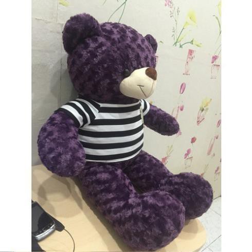 Gấu bông Teddy màu tím kích thước lớn 1m3 1m7 1m9