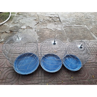 combo ap3100, 3kg sứ nhẫn, 250 vi sinh, 4 bông lọc