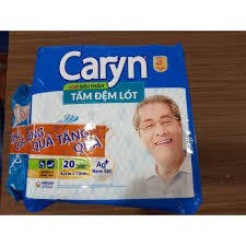 Tấm Đệm Lót Cho Người Già Caryn Bịch 10 Miếng