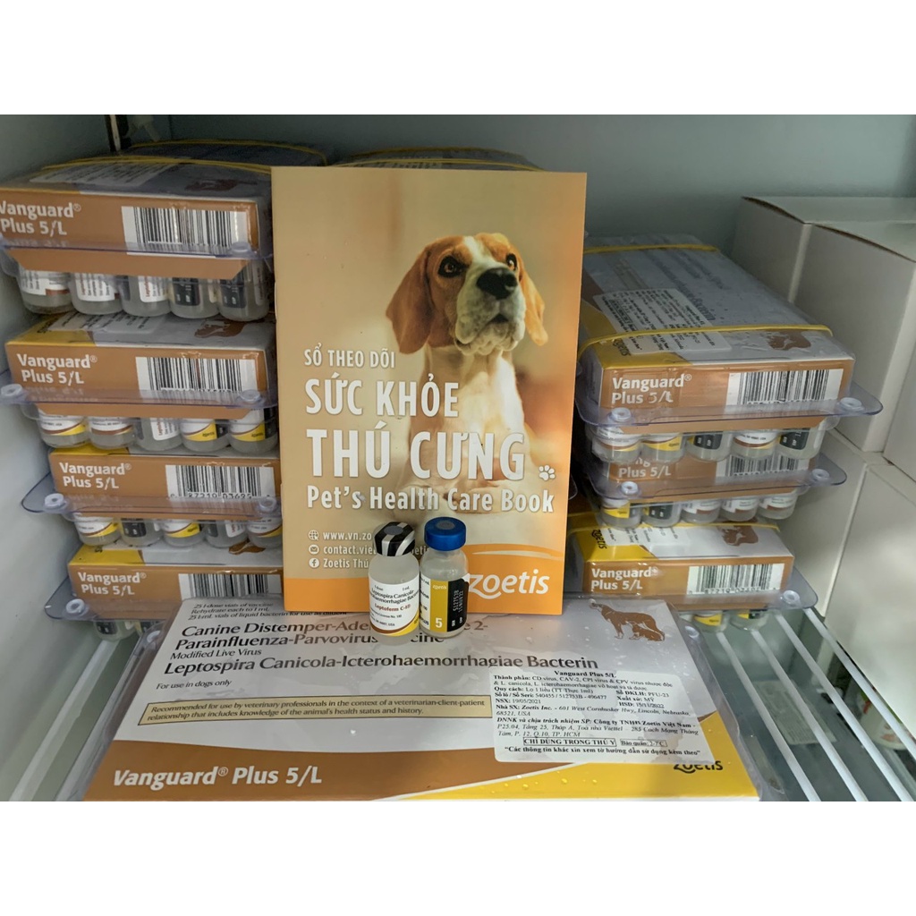 [ Hàng Chính Hãng]  Zoetis Vanguard Plus 5/L hoặc RABISIN chuyên chó mèo tặng kim 1cc tặng xổ