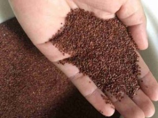 500gr hạt ngũ hoa nguyên chất 100%