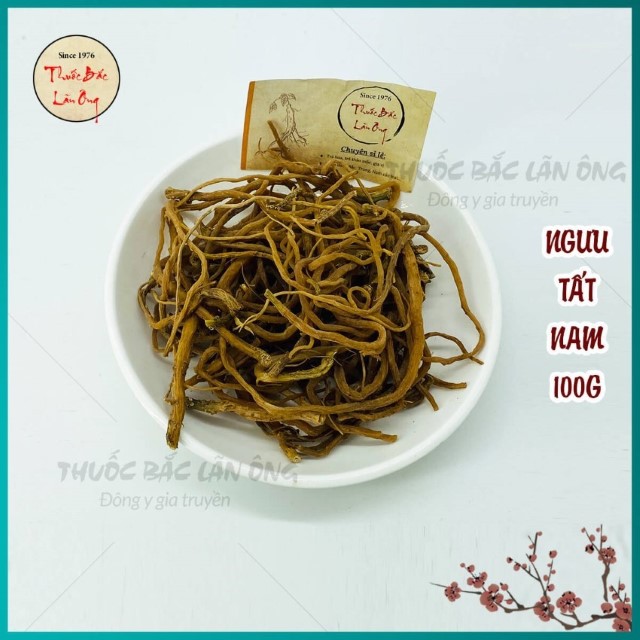 Ngưu Tất Nam 100g
