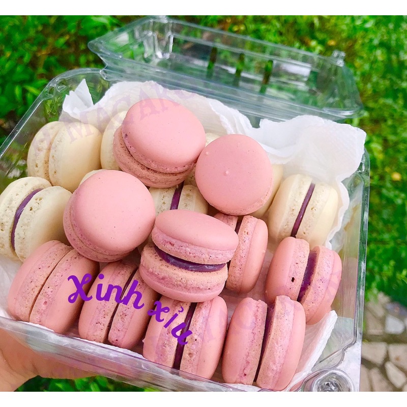 Bánh MACARON Bigsize (3,5-4cm)