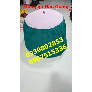 5 mùng gà nòi loại tốt