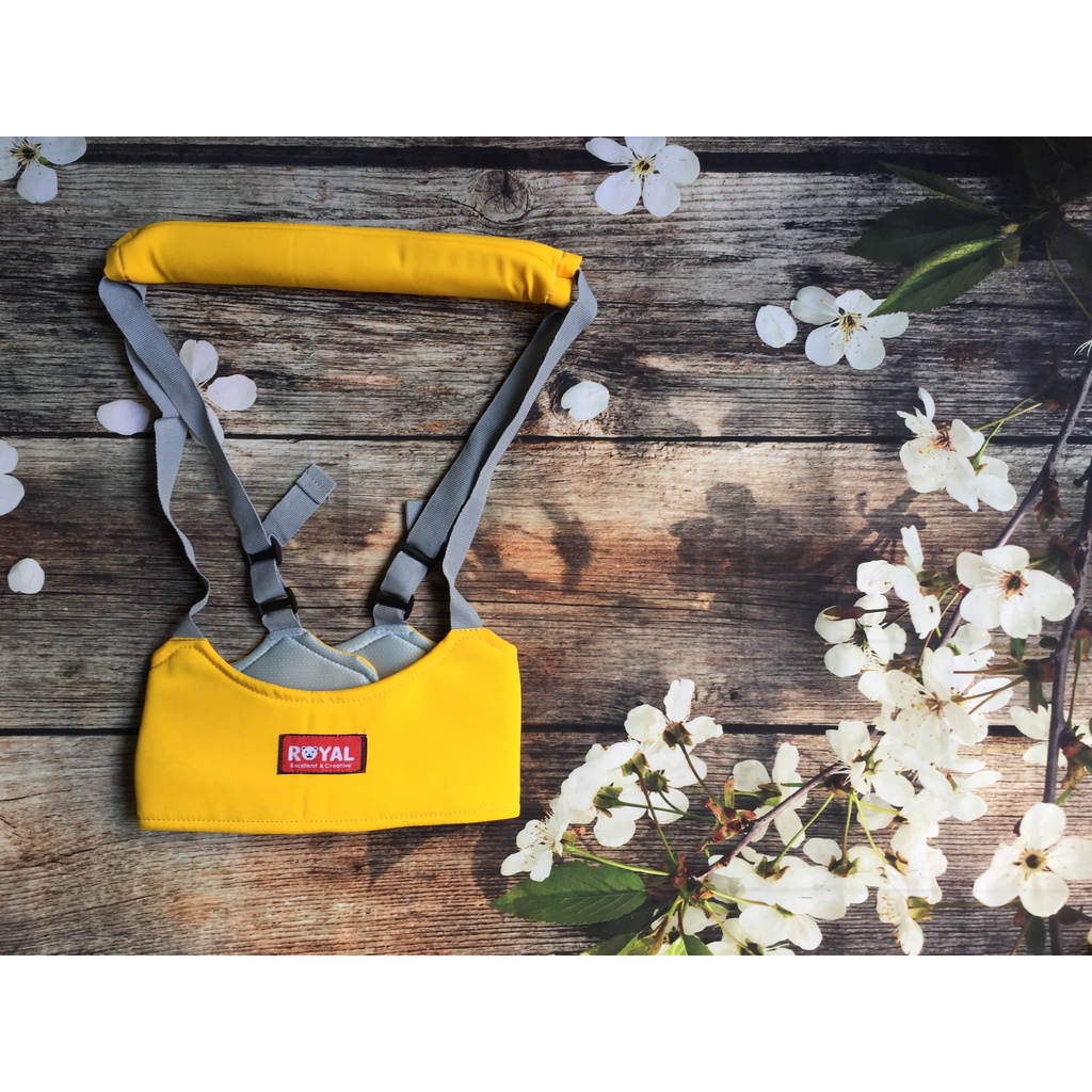 Đai Tập Đi Royal Ôm Ngực Cao Cấp Cho Bé Nhanh Biết Đi