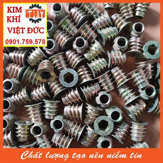 Túi ốc cấy gỗ phi 8 - 100 con