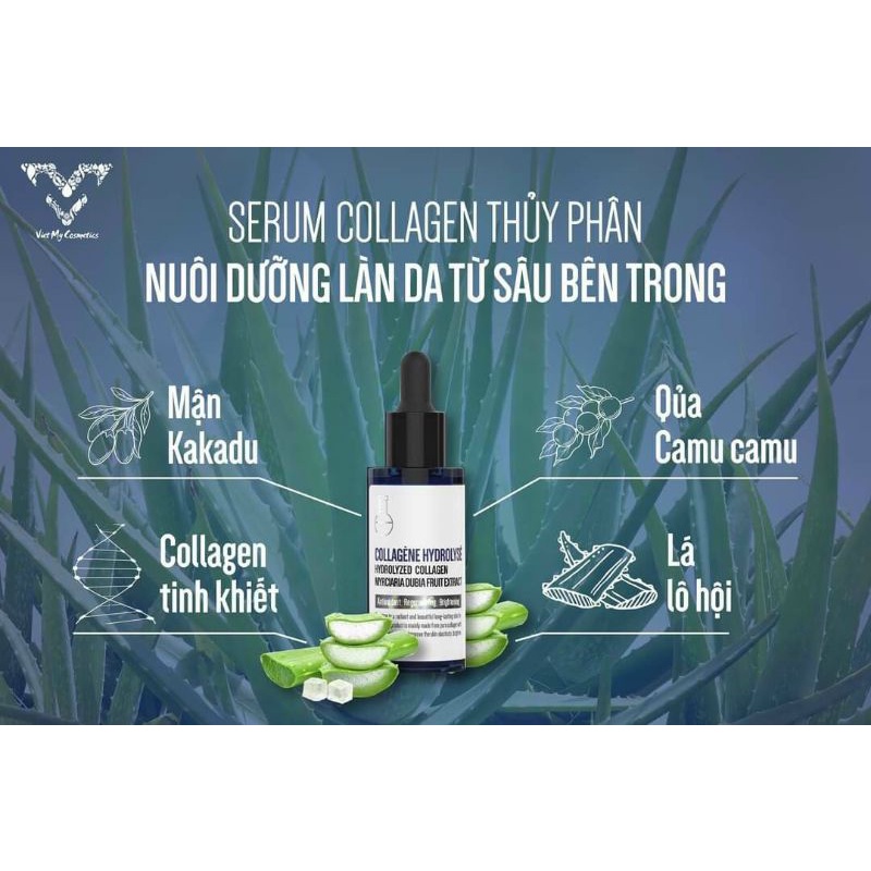 [CHÍNH HÃNG] Serum dưỡng trắng da ban đêm | BigBuy360 - bigbuy360.vn