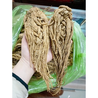 Đương quy khô