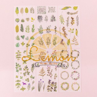 Set 6 tấm sticker dán lá cây
