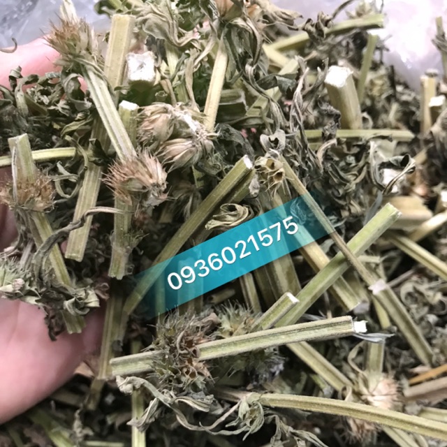 Ích mẫu 1kg