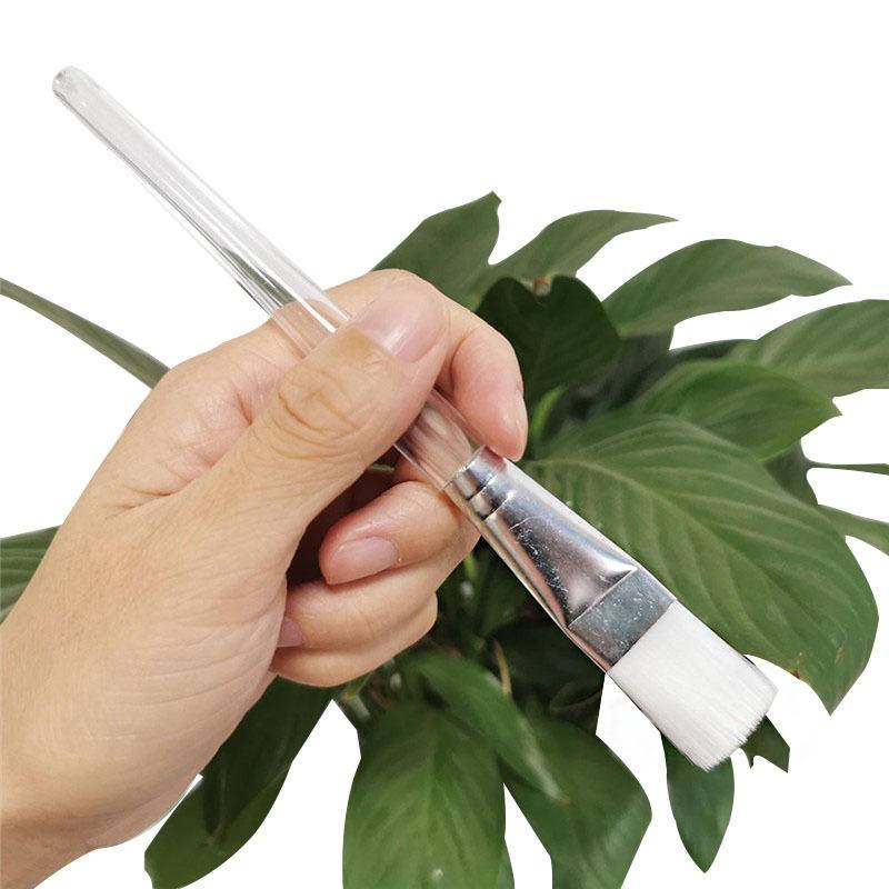 1 cọ trang điểm lông mềm trong suốt