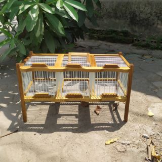 Lồng tắm khuyên 3 ngăn