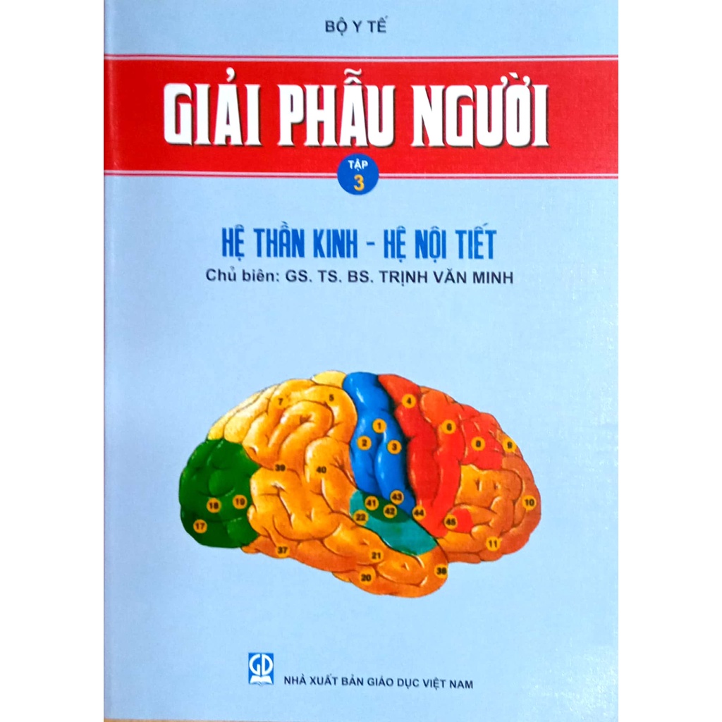 Sách - Giải Phẫu Người - Tập 3 - Hệ Thần Kinh - Hệ Nội Tiết