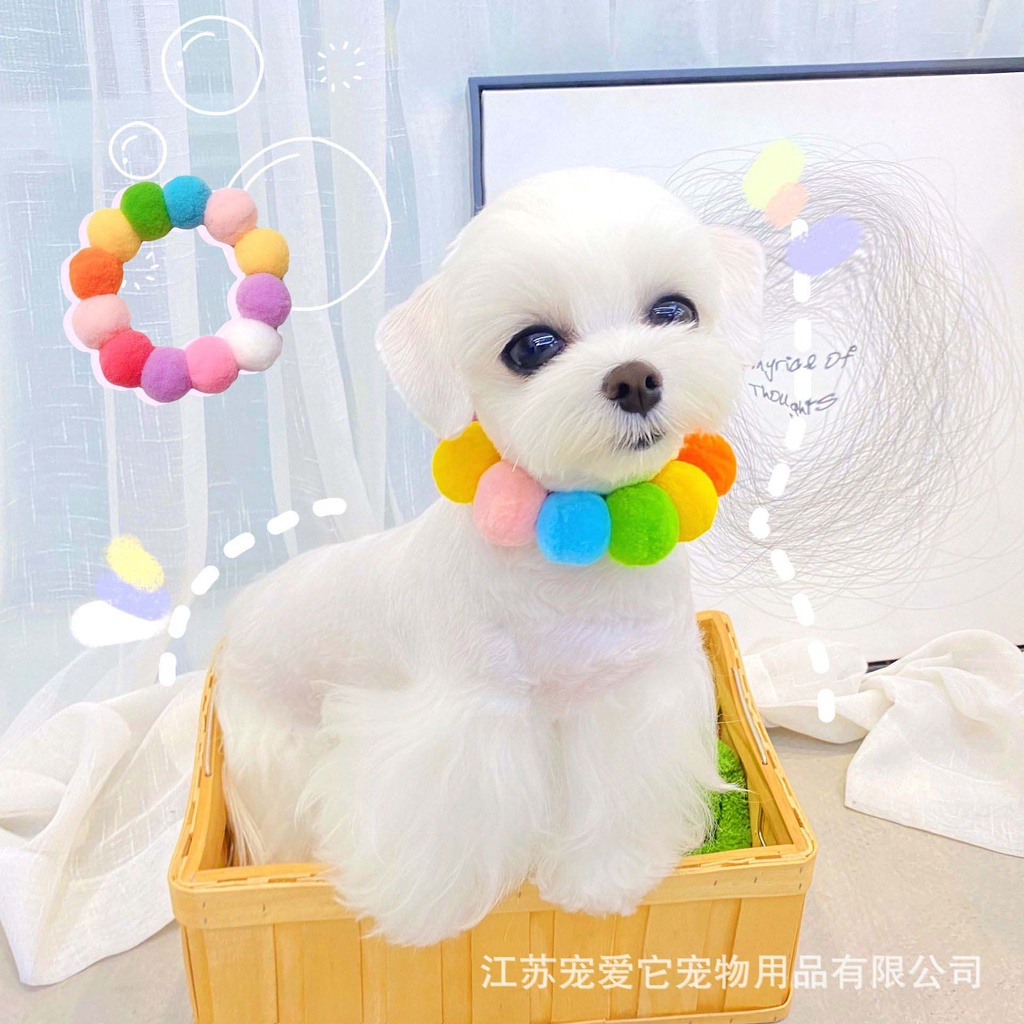 Vòng đeo cổ phối bóng tròn xinh xắn cho thú cưng