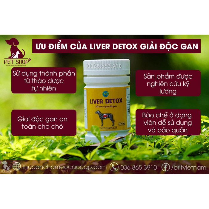 Liver Detox VD Giải Độc Gan Cho Chó