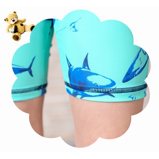 Đồ bơi bé trai (tặng kèm nón)_BT04