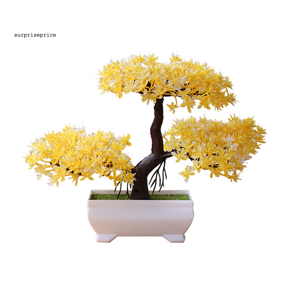 Chậu Cây Bonsai Giả Trang Trí